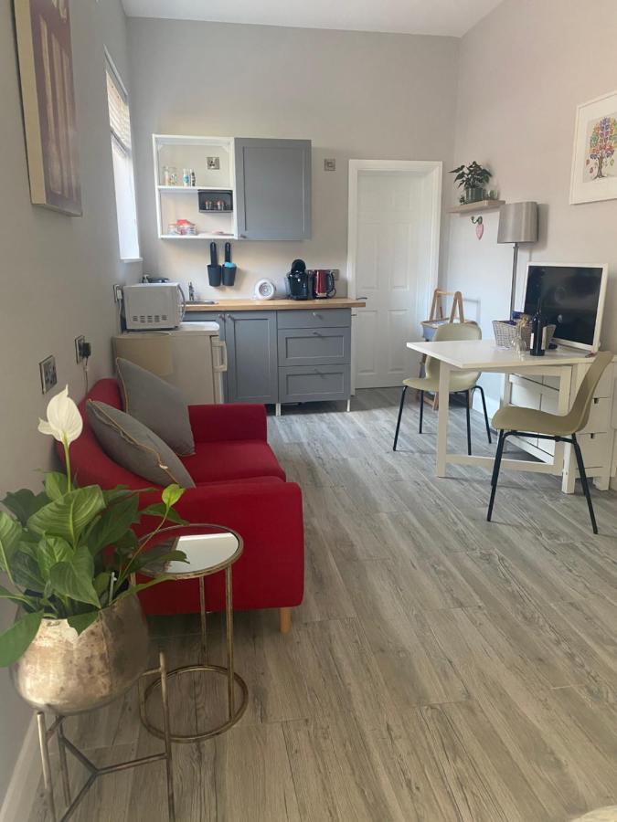 Hugo Mews Bright Studio Apartment Bray Luaran gambar